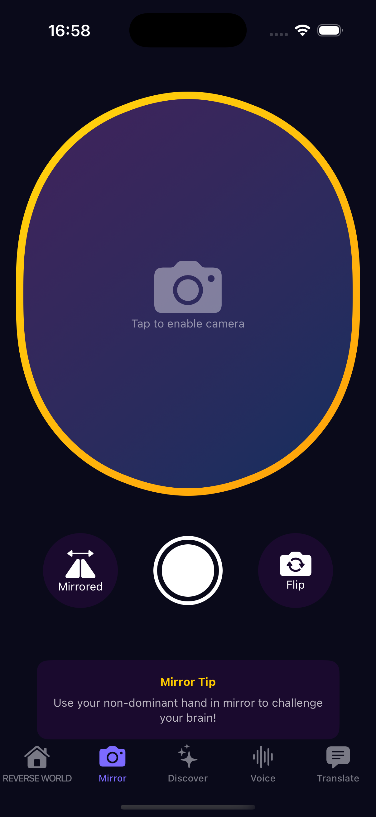 ReverseWorldGo screen 2: Bilateral Symmetry Tools